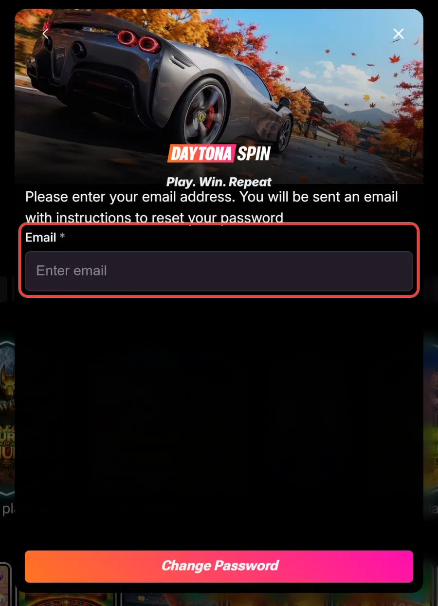 Email field on the Daytona Spin password reset screen